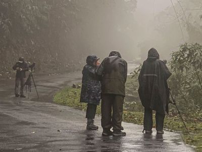 Photo of Summer birding in Bhutan