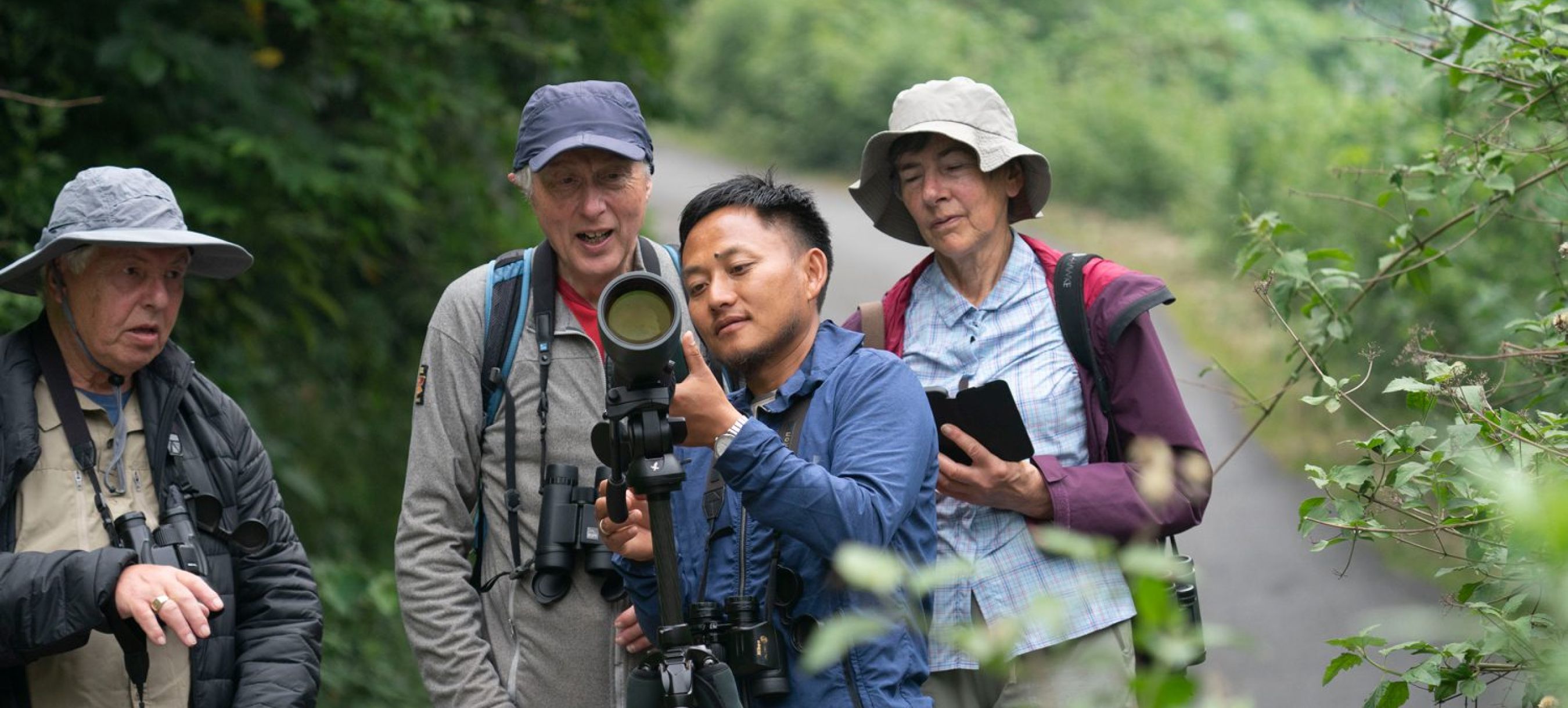 Bird watching in Yongkala