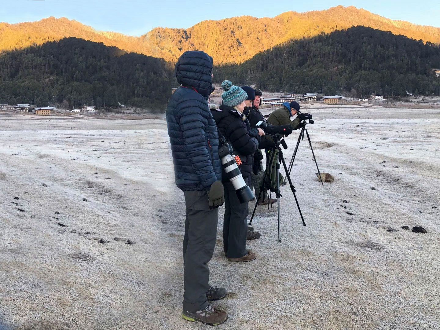 bird watching