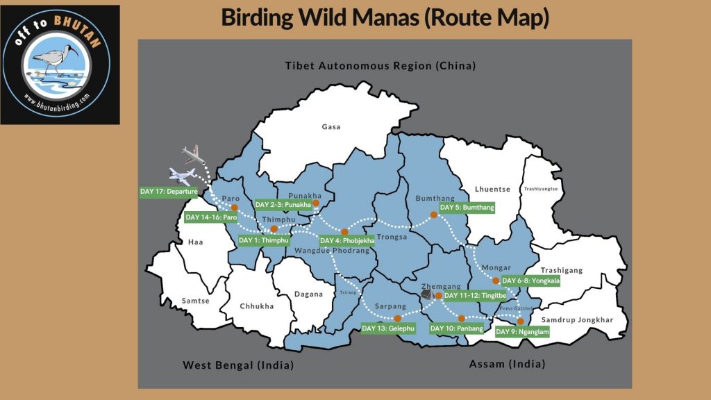 Birding Wild Manas route map