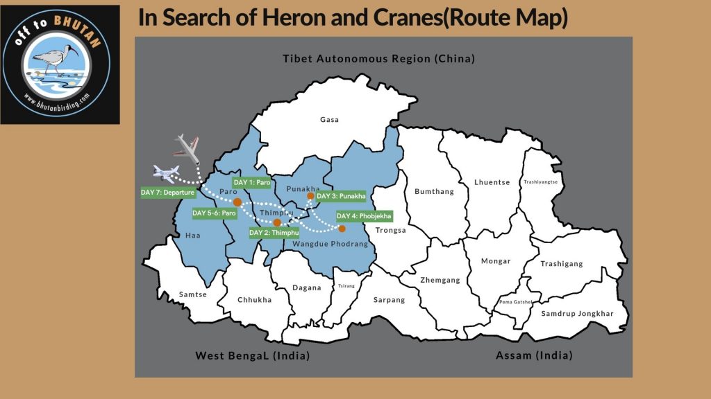 In Search of Heron and Cranes route map